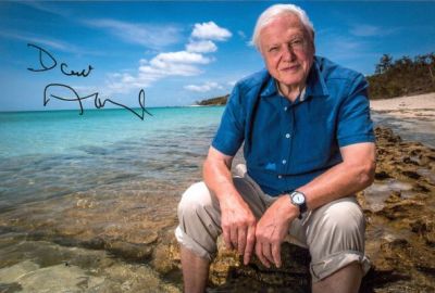 David Attenborough
