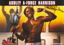 Audley_Harrison_28PP29.jpg