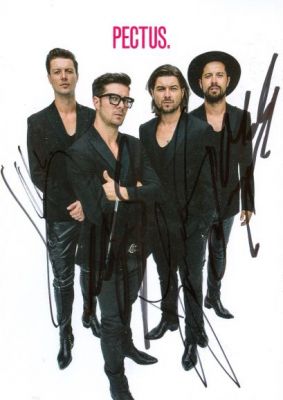 Pectus (Tomasz Szczepanik, Marek Szczepanik, Mateusz Szczepanik, Maciej Szczepanik)
